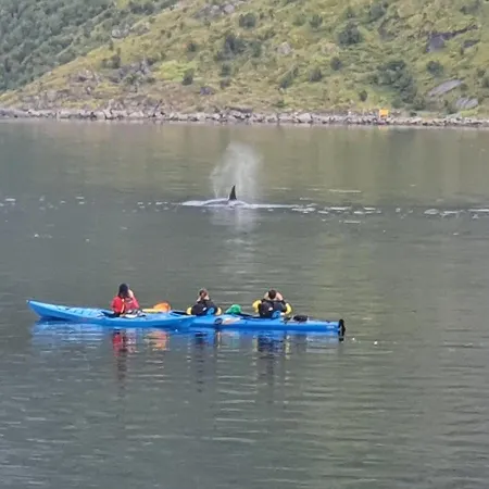 Reinefjord Panorama * Moskenes