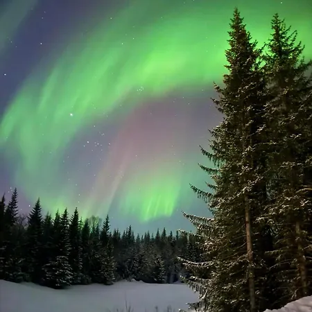 Reinefjord Panorama *