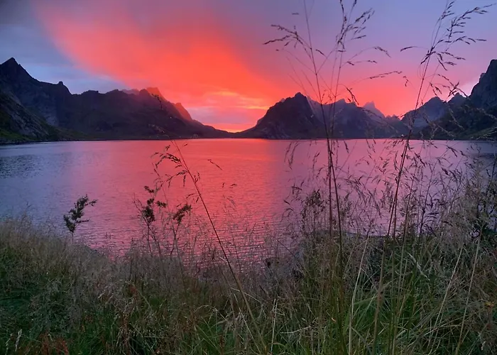 Ferienhaus Reinefjord Panorama