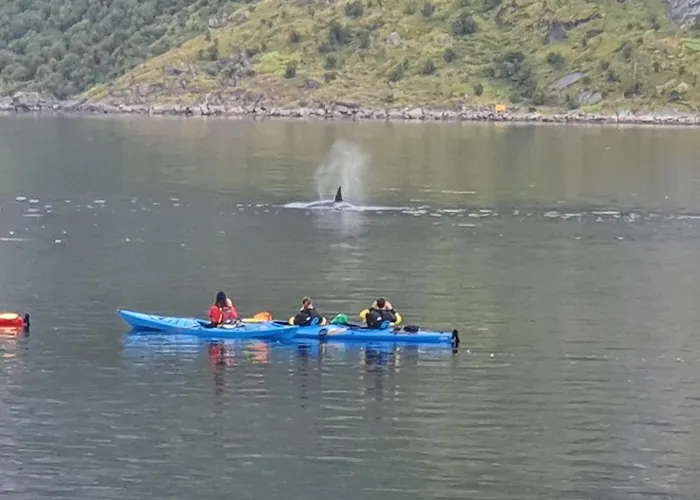 Reinefjord Panorama * Moskenes