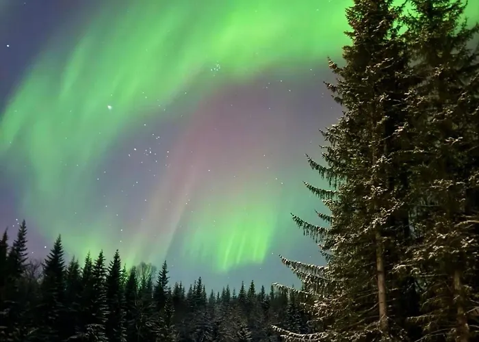 Reinefjord Panorama *