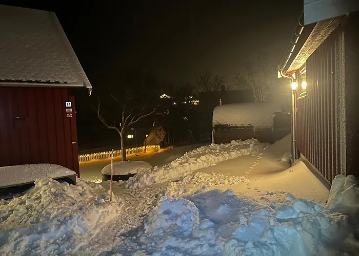 Reinefjord Panorama Tatil Evi