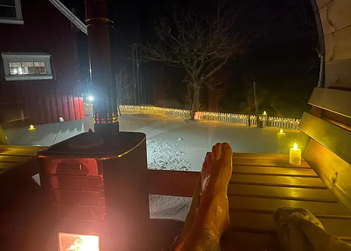 Ferienhaus Reinefjord Panorama